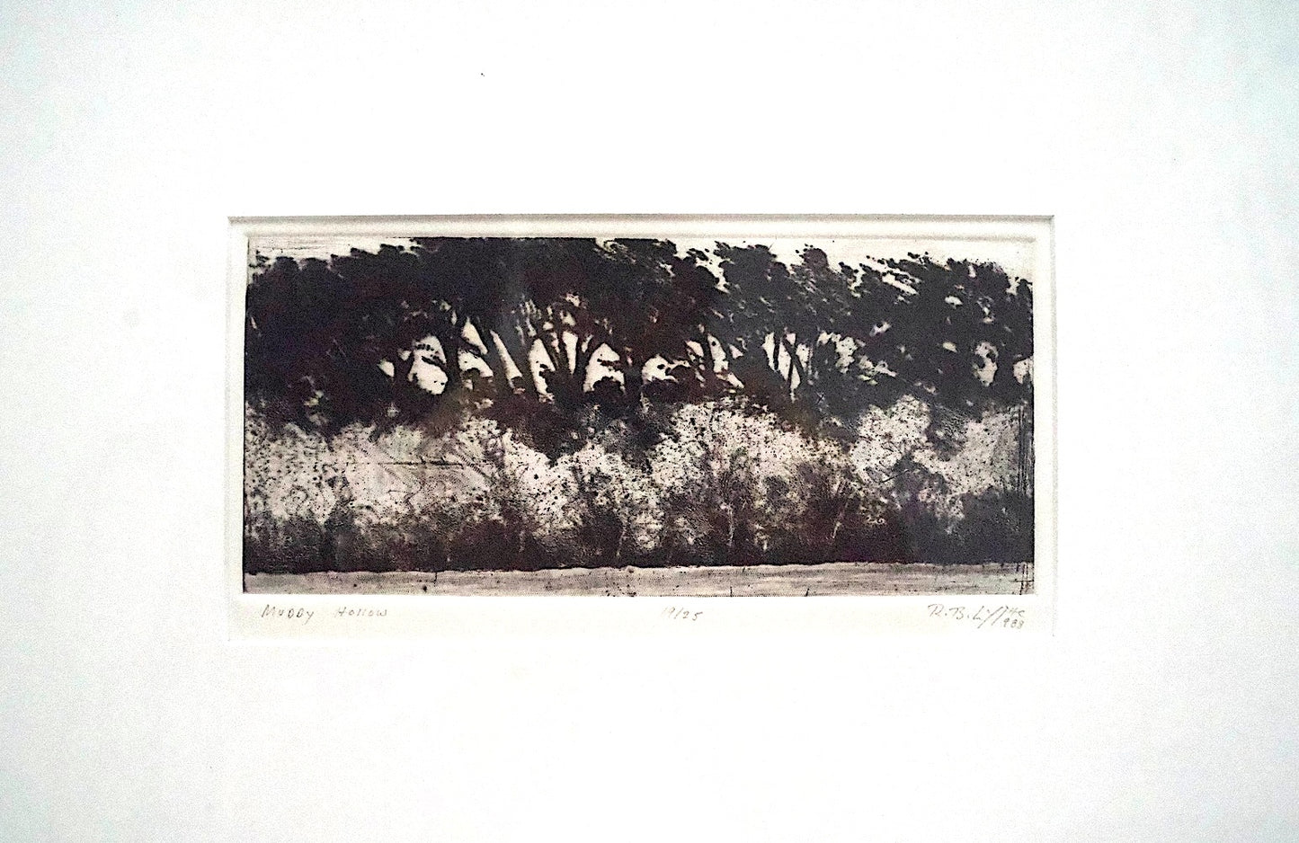 "Muddy Hollow" by Richard B Lyttle